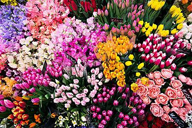 国产科幻悬疑AVG《神罪降临》全中文配音DEMO现已上线Steam新品节